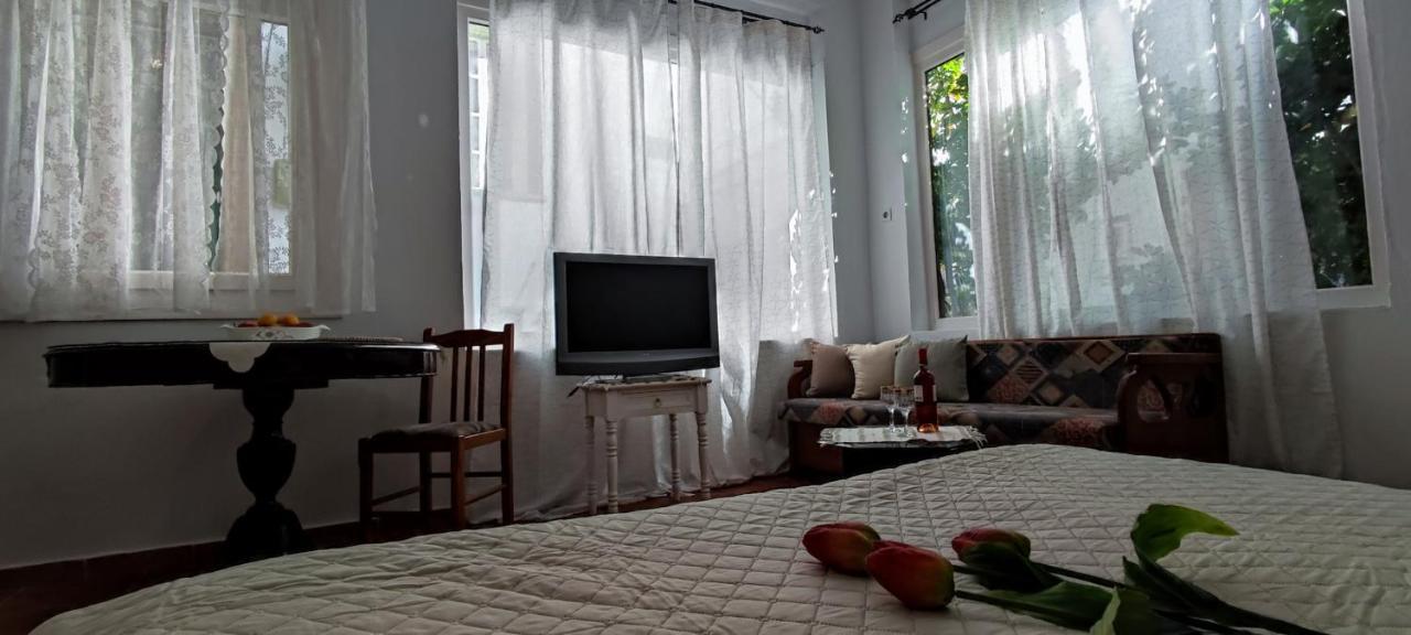 Dream Catcher Apartment *
